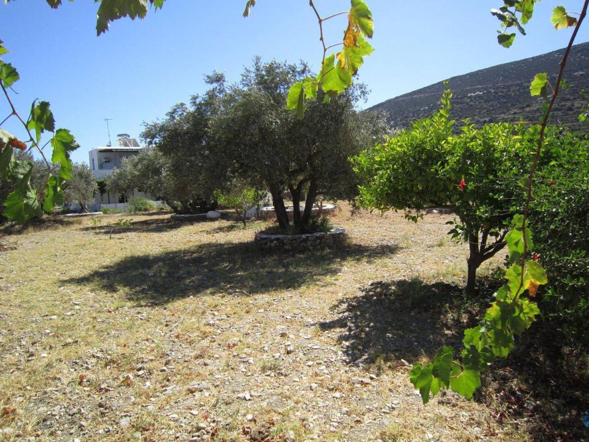 Elisso Villas Platis Gialos  외부 사진