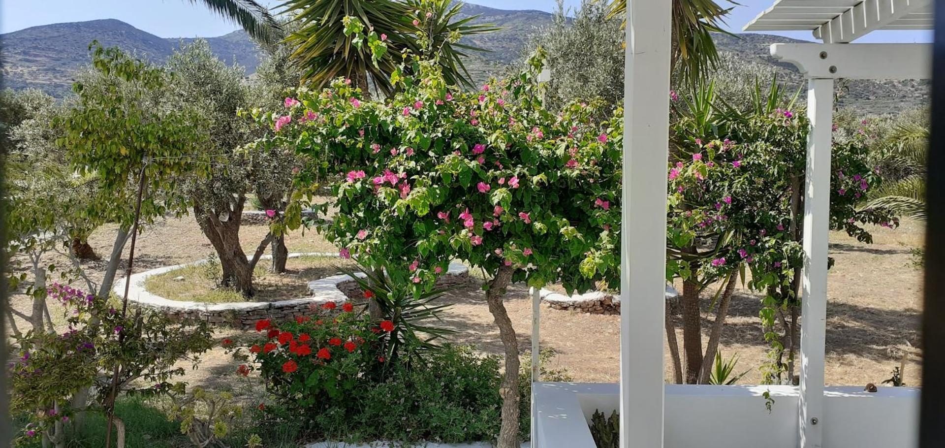 Elisso Villas Platis Gialos  외부 사진