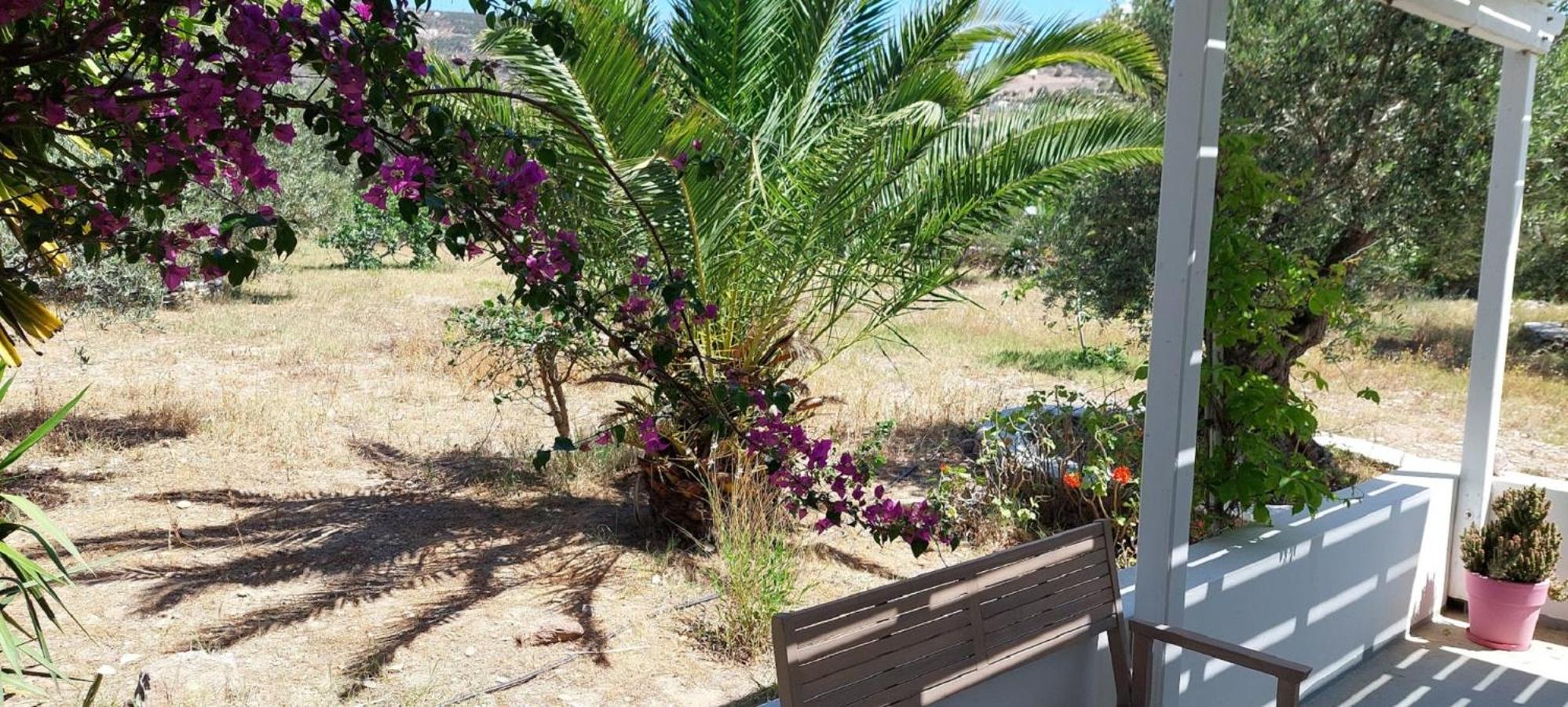 Elisso Villas Platis Gialos  외부 사진