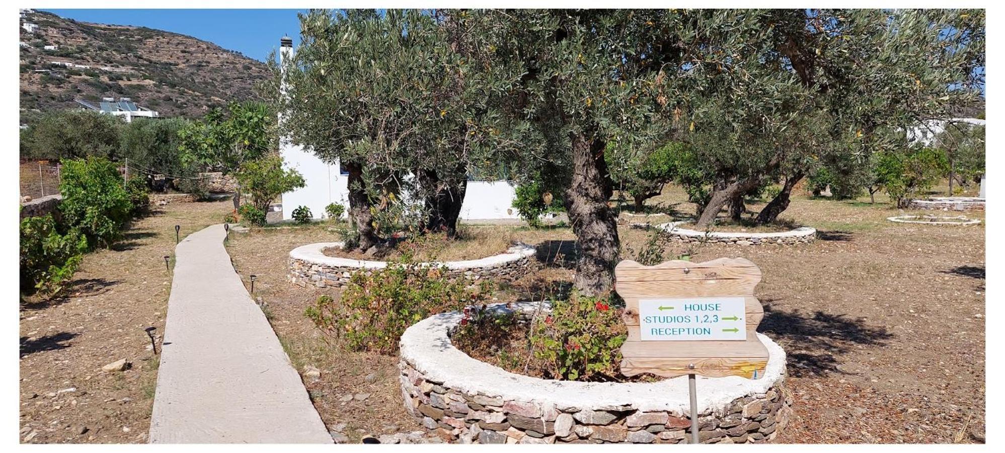 Elisso Villas Platis Gialos  외부 사진